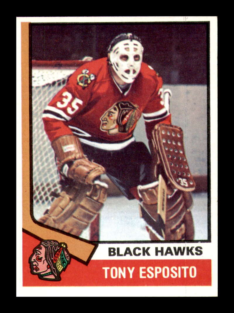 Load image into Gallery viewer, 1974-75 Topps Tony Esposito #170 Chicago Blackhawks  Image 1
