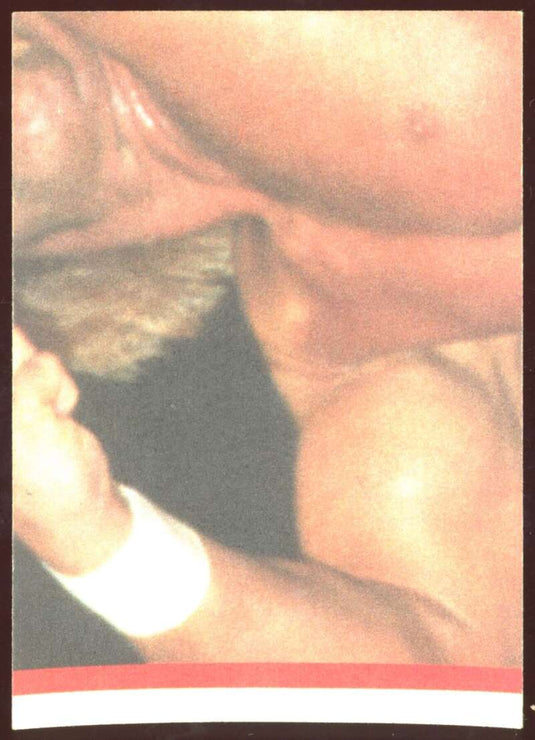 1985 Topps WWF Sticker Wendi Richter