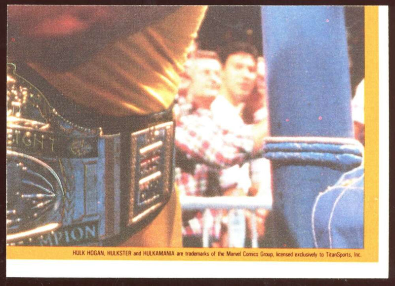 Load image into Gallery viewer, 1987 Topps WWF Sticker Smash Demolition #19 Set Break Image 2
