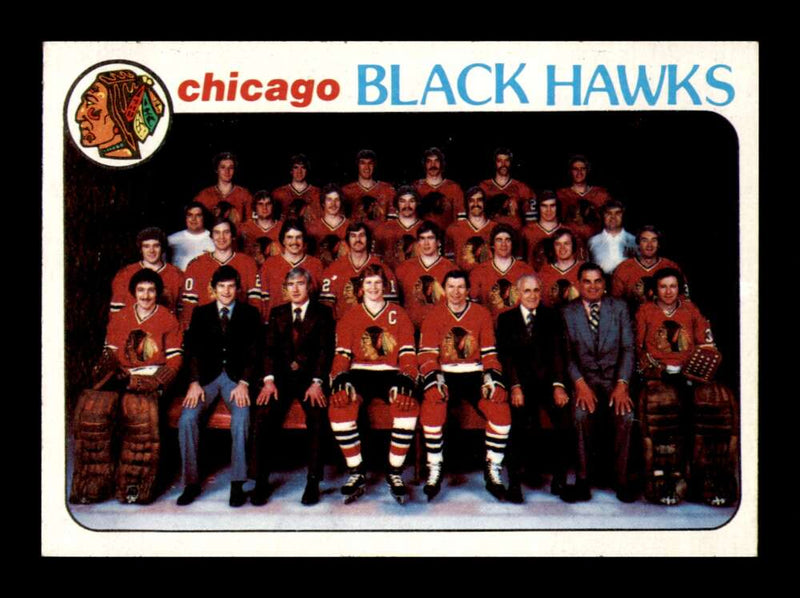 Load image into Gallery viewer, 1978-79 Topps Chicago Blackhawks #195 Checklist Unmarked Set Break  Image 1
