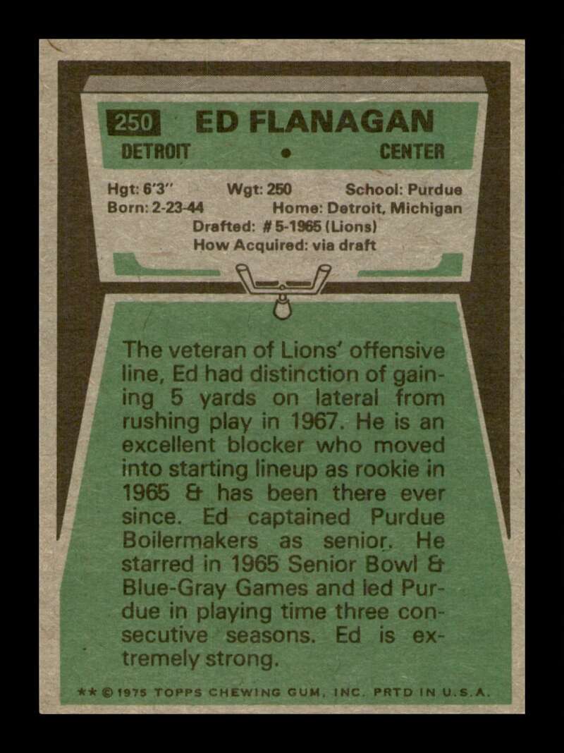 Load image into Gallery viewer, 1975 Topps Ed Flanagan #250 Detroit Lions Image 2
