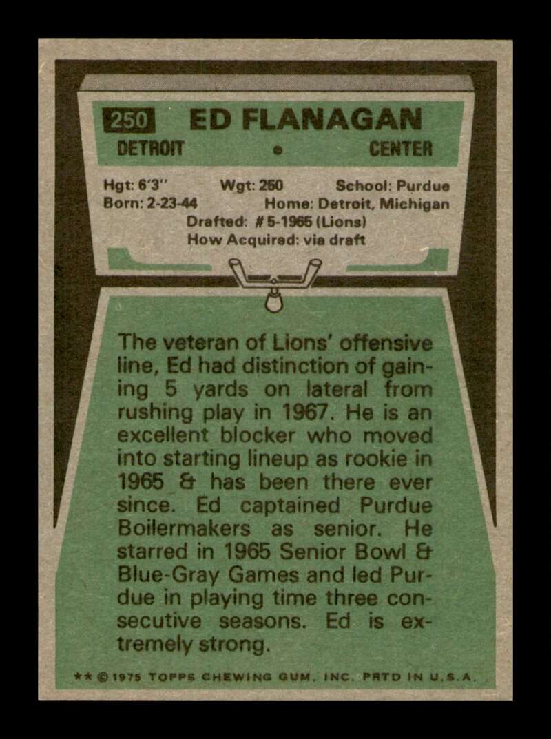 Load image into Gallery viewer, 1975 Topps Ed Flanagan #250 Detroit Lions Image 2
