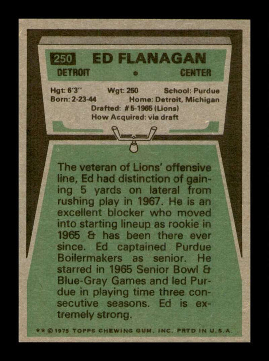 1975 Topps Ed Flanagan 