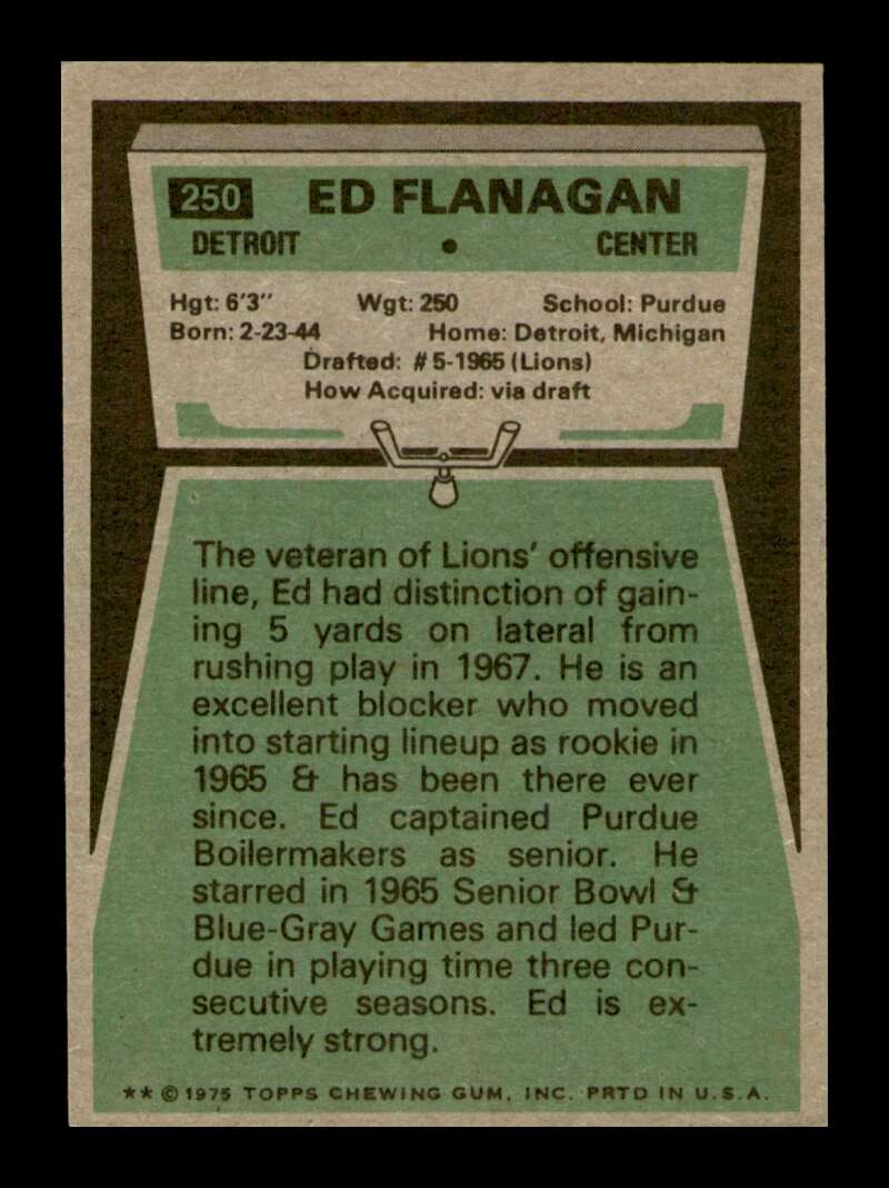 Load image into Gallery viewer, 1975 Topps Ed Flanagan #250 Detroit Lions Image 2
