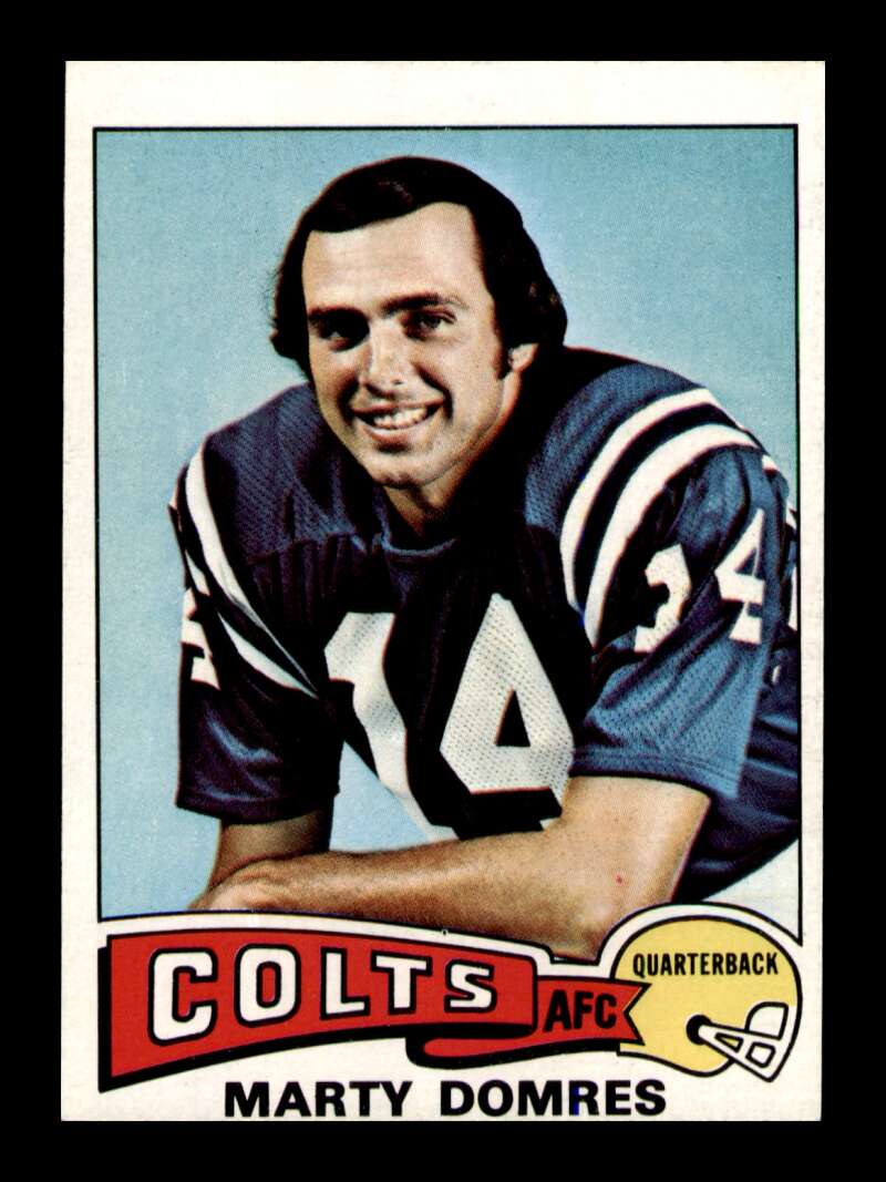 Load image into Gallery viewer, 1975 Topps Marty Domres #388 Baltimore Colts Image 1
