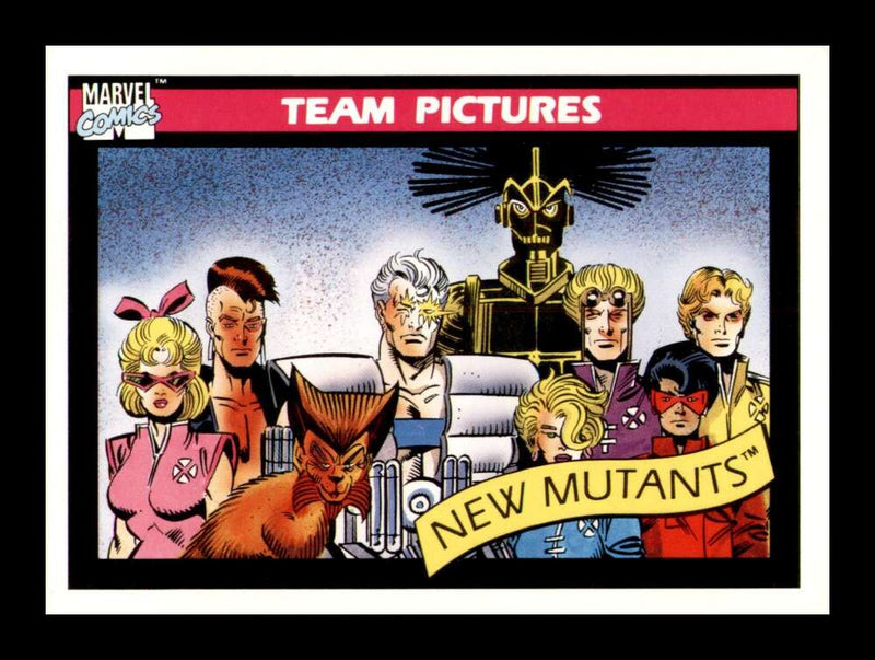 Load image into Gallery viewer, 1990 Impel Marvel Universe New Mutants #142 NM OR BETTER Image 1
